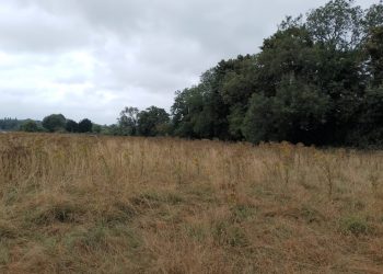 Land-value-Slip-End-scaled